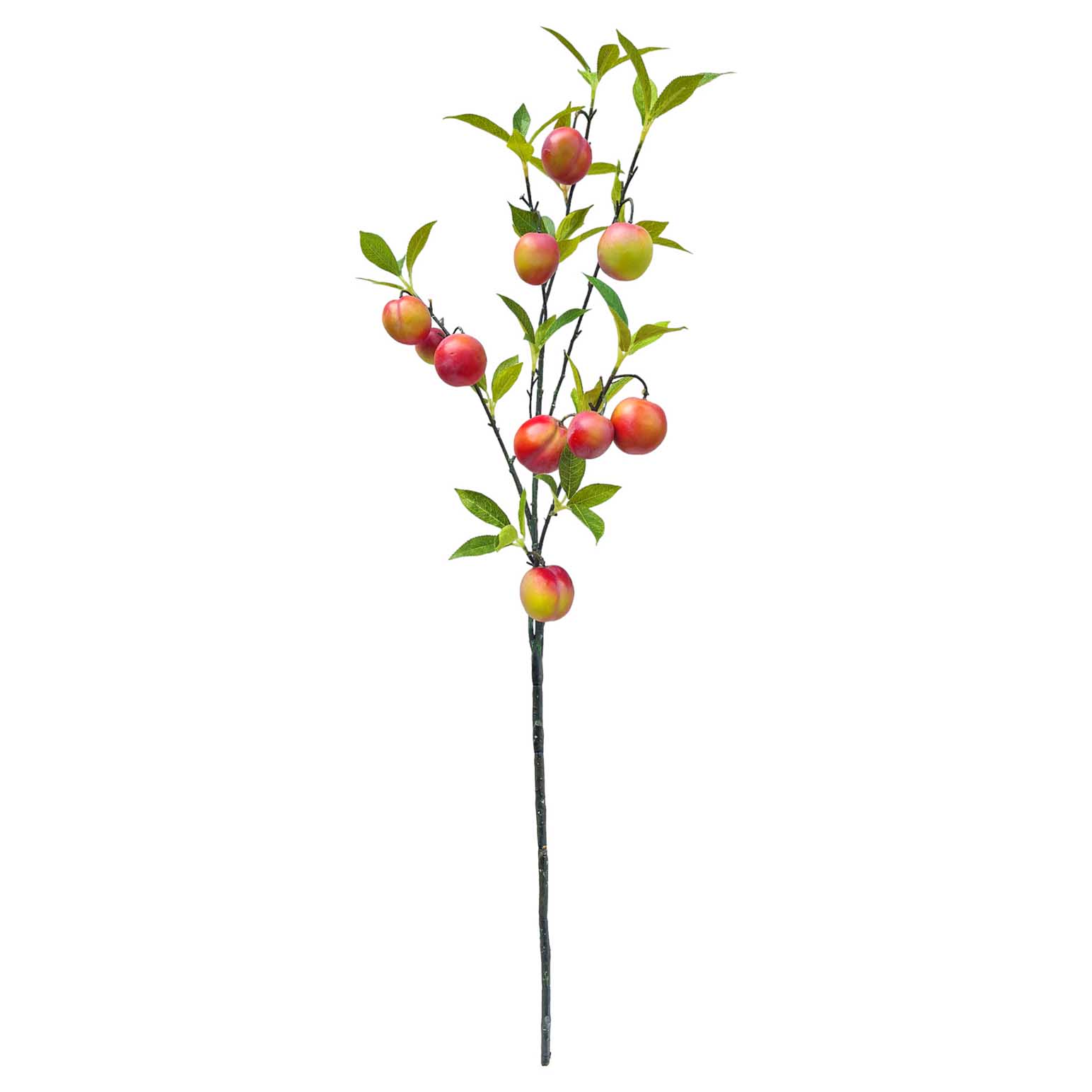 Alison's Acquisitions Nectarine Branch